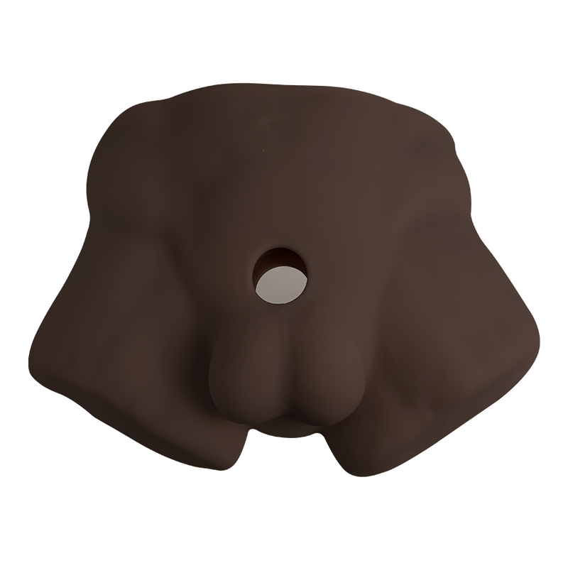 Premium Silicone Realistic Medio Torso De Dildo Intercambiable Brown